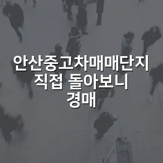 안산중고차매매단지 직접 돌아보니 경매 투자 습관이 그대로 나오더군요 - 요약