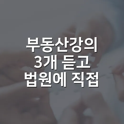 부동산강의 3개 듣고 법원에 직접 가봤더니, 초보가 헷갈리는 지점이 딱 보였습니다 - 요약