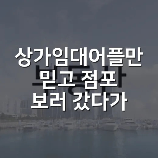 상가임대어플만 믿고 점포 보러 갔다가 발품값 제대로 낸 이야기 - 요약