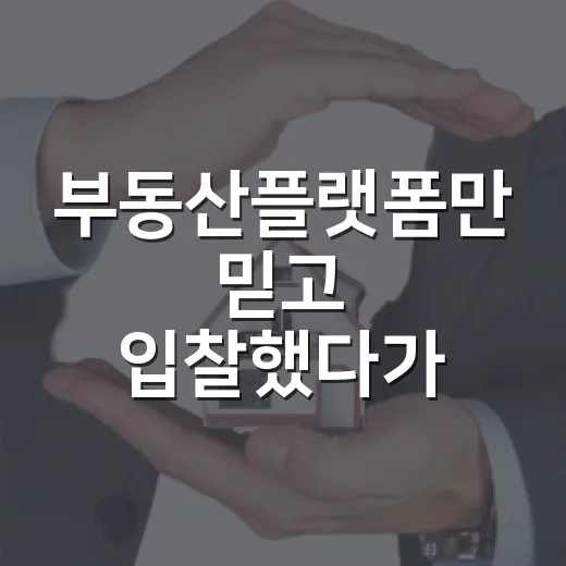 부동산플랫폼만 믿고 입찰했다가 현장에서 다시 계산한 이야기 - 요약