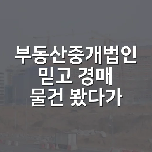 부동산중개법인 믿고 경매 물건 봤다가, 제가 다시 등기부를 펼친 이유 - 요약
