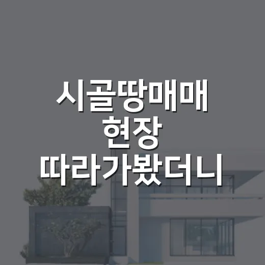 시골땅매매 현장 따라가봤더니, 싼 땅보다 무서운 게 따로 있었습니다 - 요약