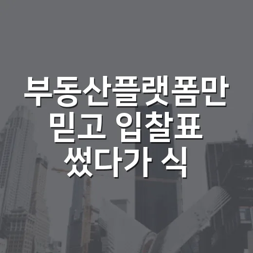 부동산플랫폼만 믿고 입찰표 썼다가 식은땀 난 이야기 - 요약