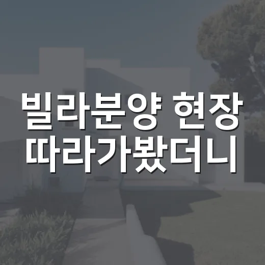 빌라분양 현장 따라가봤더니, 싸 보이는 집일수록 먼저 봐야 할 것들 - 요약