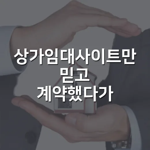 상가임대사이트만 믿고 계약했다가 현장에서 식은땀 난 이야기 - 요약