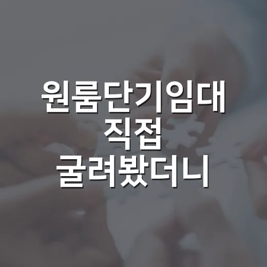 원룸단기임대 직접 굴려봤더니, 월세 52만원짜리가 정말 90만원이 될까 - 요약
