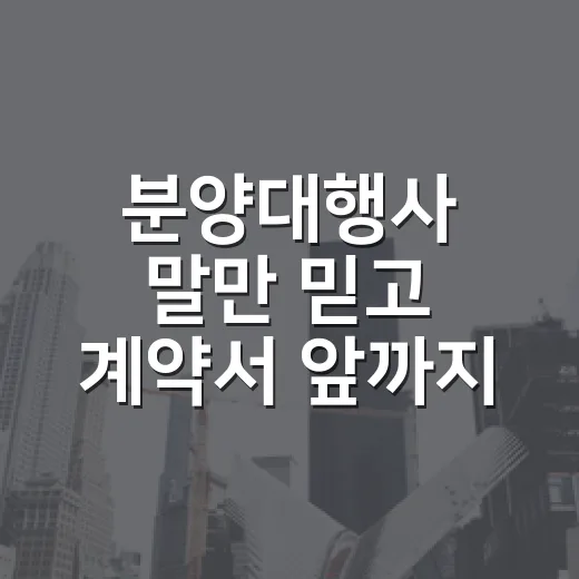 분양대행사 말만 믿고 계약서 앞까지 갔다가 멈춘 이야기 - 요약