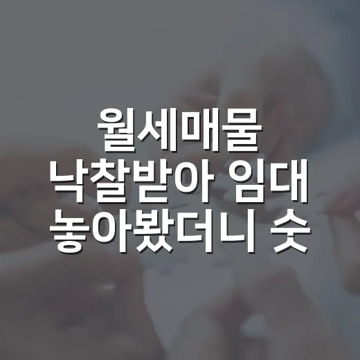 월세매물 낙찰받아 임대 놓아봤더니 숫자보다 먼저 보인 것들 - 요약