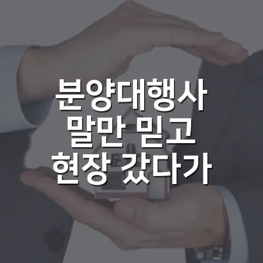 분양대행사 말만 믿고 현장 갔다가 다시 등기부부터 본 이야기 - 요약