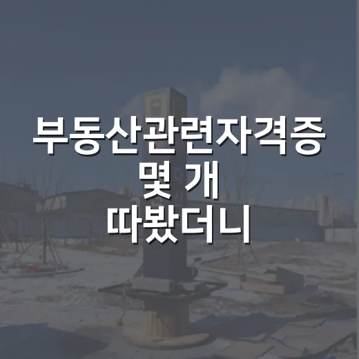 부동산관련자격증 몇 개 따봤더니, 경매장에서는 이런 차이가 났습니다 - 요약