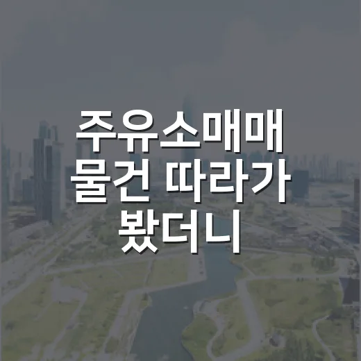 주유소매매 물건 따라가 봤더니, 땅값보다 먼저 봐야 할 게 있었습니다 - 요약