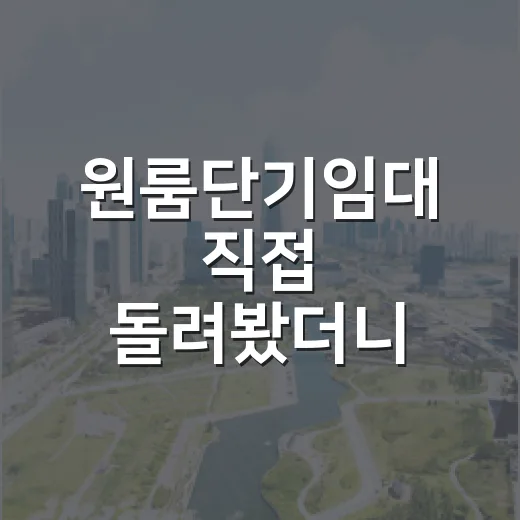 원룸단기임대 직접 돌려봤더니 월세보다 먼저 보인 함정들 - 요약