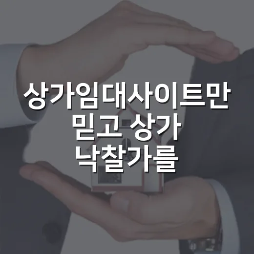 상가임대사이트만 믿고 상가 낙찰가를 잡았다가 현장에서 다시 계산한 이야기 - 요약