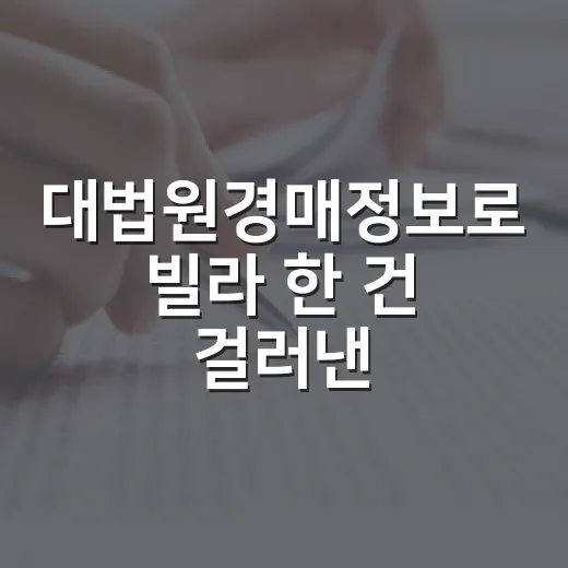 대법원경매정보로 빌라 한 건 걸러낸 후기, 싸 보이는 물건이 무서운 이유 - 요약