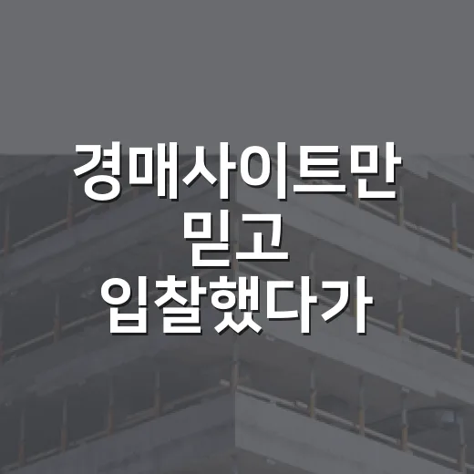 경매사이트만 믿고 입찰했다가 현장에서 식은땀 난 이야기 - 요약