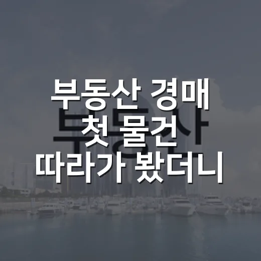 부동산 경매 첫 물건 따라가 봤더니, 싸게 보인 집이 제일 비쌌습니다 - 요약