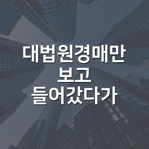대법원경매만 보고 들어갔다가 입찰표 접었던 날 - 요약