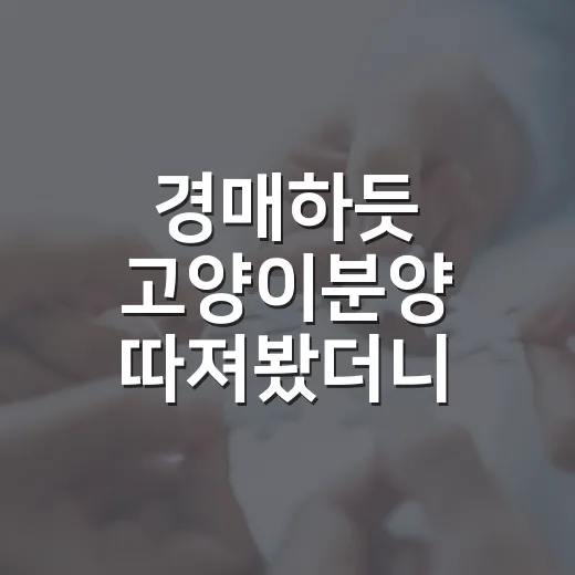경매하듯 고양이분양 따져봤더니 계약서보다 먼저 보인 것들 - 요약