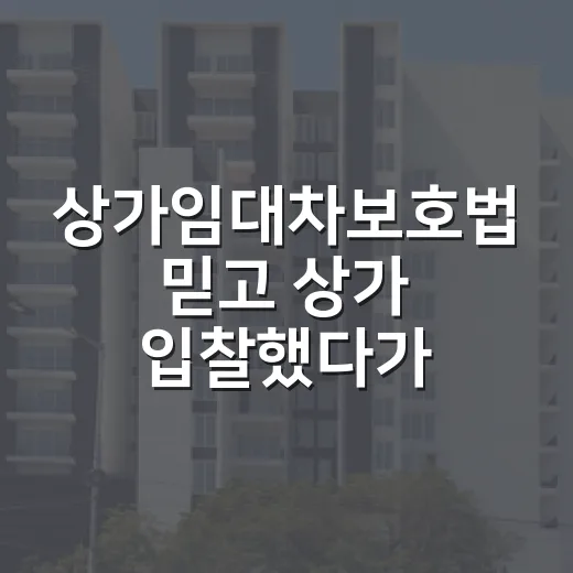 상가임대차보호법 믿고 상가 입찰했다가 숫자 하나에 멈춘 이야기 - 요약