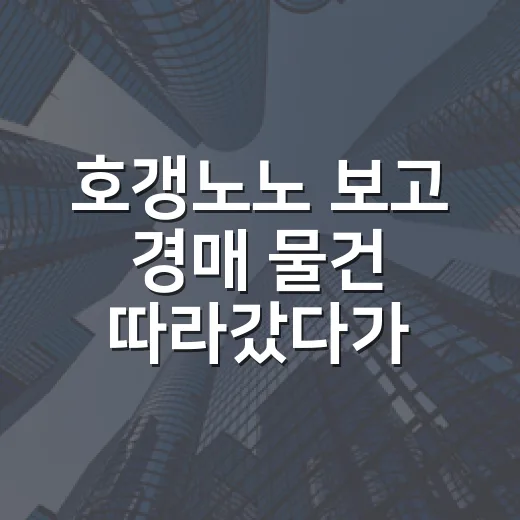 호갱노노 보고 경매 물건 따라갔다가 현장에서 정신 번쩍 든 이야기 - 요약
