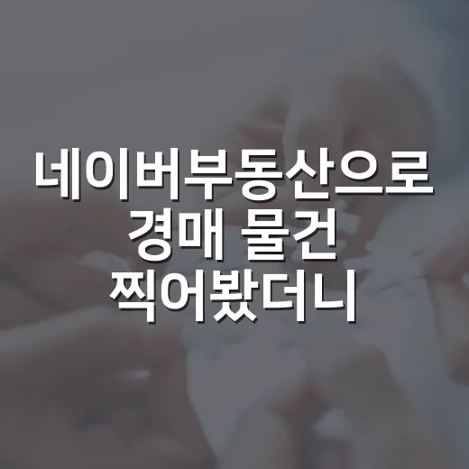 네이버부동산으로 경매 물건 찍어봤더니, 현장에서 틀린 숫자가 보였습니다 - 요약