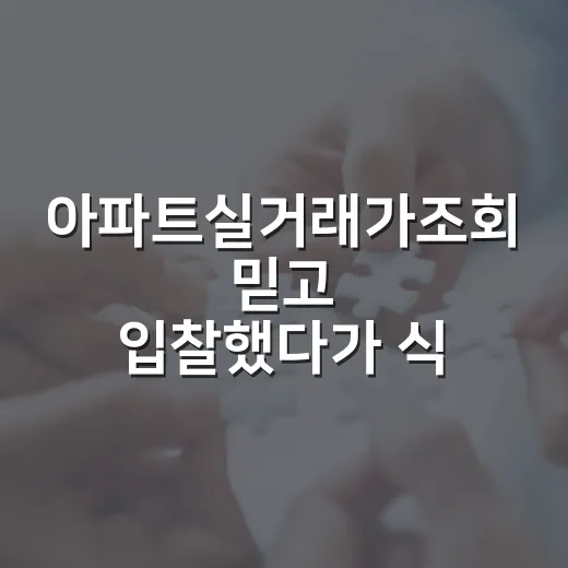 아파트실거래가조회 믿고 입찰했다가 식은땀 난 현장 이야기 - 요약