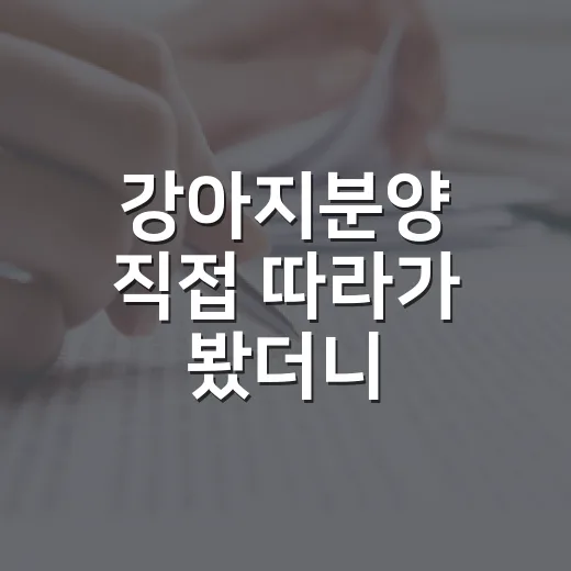 강아지분양 직접 따라가 봤더니, 집보다 먼저 봐야 할 게 있었습니다 - 요약