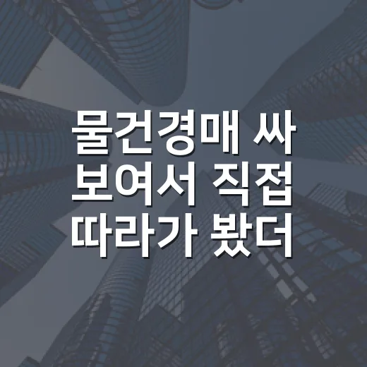 물건경매 싸 보여서 직접 따라가 봤더니, 돈 되는 물건은 따로 있었습니다 - 요약