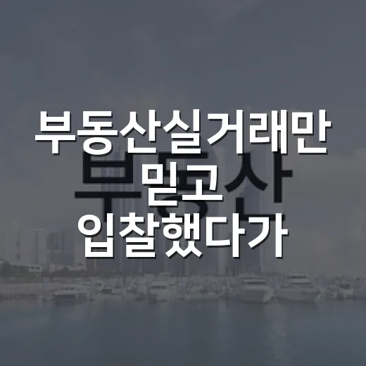 부동산실거래만 믿고 입찰했다가 식은땀 난 이야기 - 요약