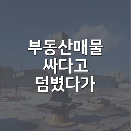 부동산매물 싸다고 덤볐다가 현장에서 발길 돌린 이야기 - 요약