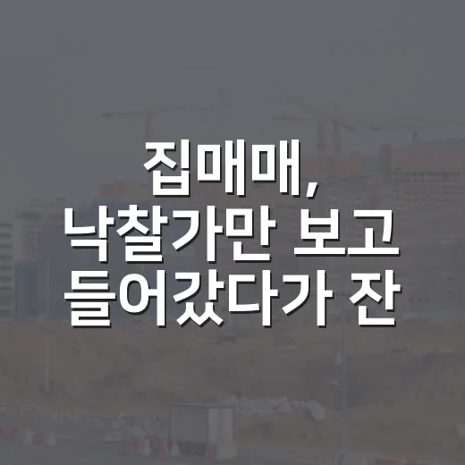 집매매, 낙찰가만 보고 들어갔다가 잔금 앞에서 식은땀 난 이야기 - 요약