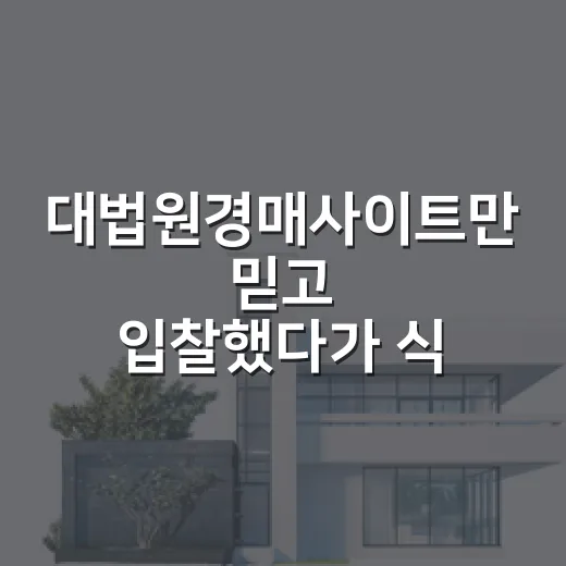 대법원경매사이트만 믿고 입찰했다가 식은땀 난 날 - 요약