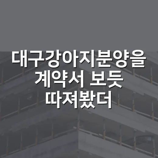 대구강아지분양을 계약서 보듯 따져봤더니 - 요약