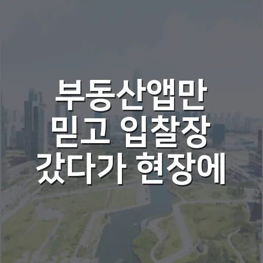 부동산앱만 믿고 입찰장 갔다가 현장에서 식은땀 난 이야기 - 요약