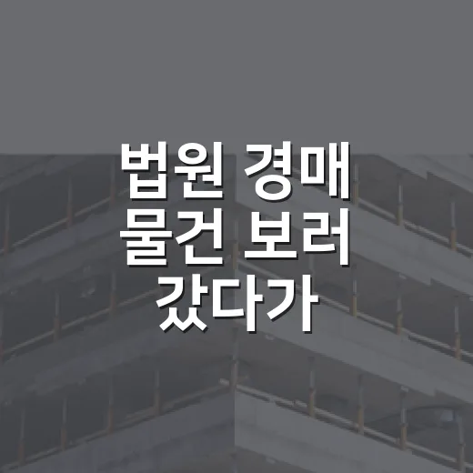 법원 경매 물건 보러 갔다가 시골집임대 문의만 세 번 받은 이야기 - 요약