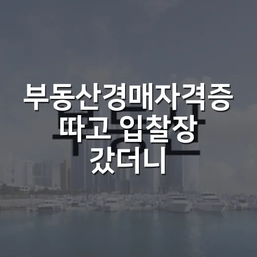 부동산경매자격증 따고 입찰장 갔더니, 현장에서 더 무서웠던 것들 - 요약