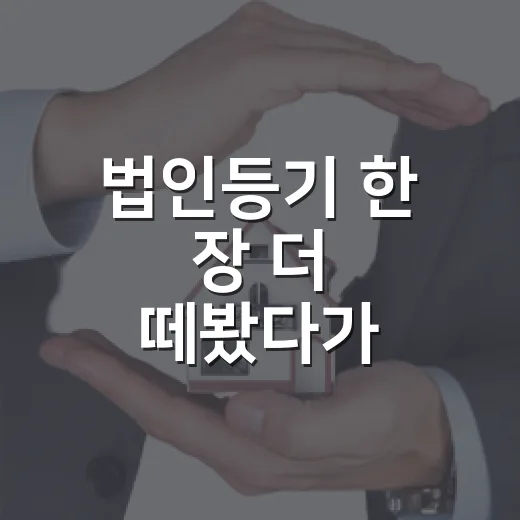 법인등기 한 장 더 떼봤다가 입찰가 3천 낮춘 현장 이야기 - 요약