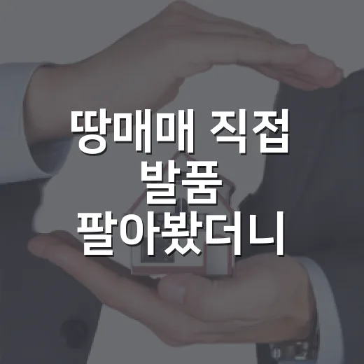 땅매매 직접 발품 팔아봤더니, 싸게 보이는 땅이 더 무서웠습니다 - 요약