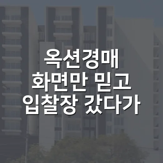 옥션경매 화면만 믿고 입찰장 갔다가 800만 원 날릴 뻔한 날 - 요약