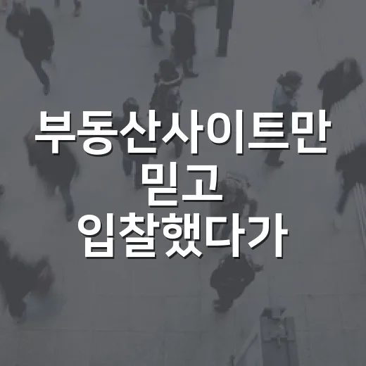 부동산사이트만 믿고 입찰했다가 현장에서 식은땀 났던 이야기 - 요약