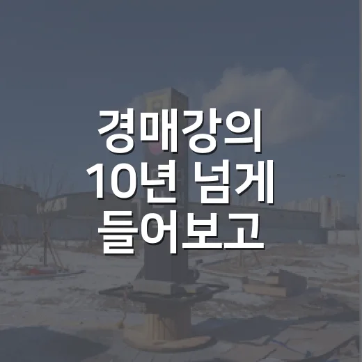 경매강의 10년 넘게 들어보고 현장에서 맞아보니 보이는 것들 - 요약