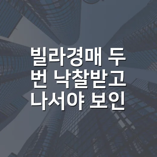 빌라경매 두 번 낙찰받고 나서야 보인 진짜 위험들 - 요약