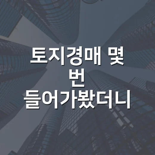 토지경매 몇 번 들어가봤더니, 초보가 다치는 땅은 따로 있더라 - 요약