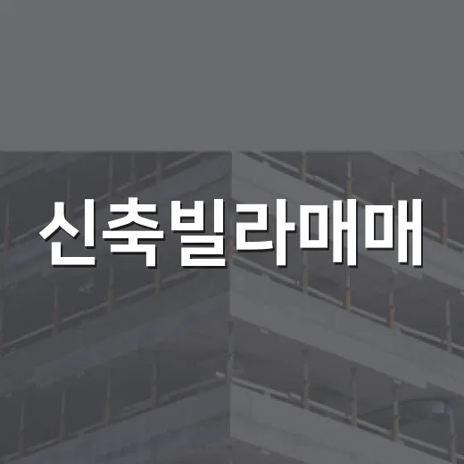 신축빌라매매, 싸다고 들어갔다가 법원에서 다시 만난 집 이야기 - 요약