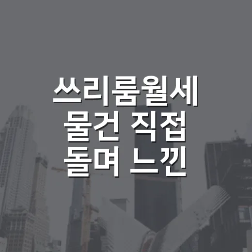 쓰리룸월세 물건 직접 돌며 느낀 진짜 체크포인트 - 요약