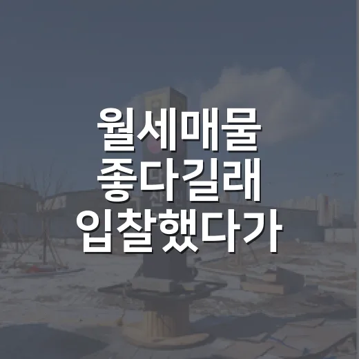 월세매물 좋다길래 입찰했다가 숫자 다시 본 후기 - 요약