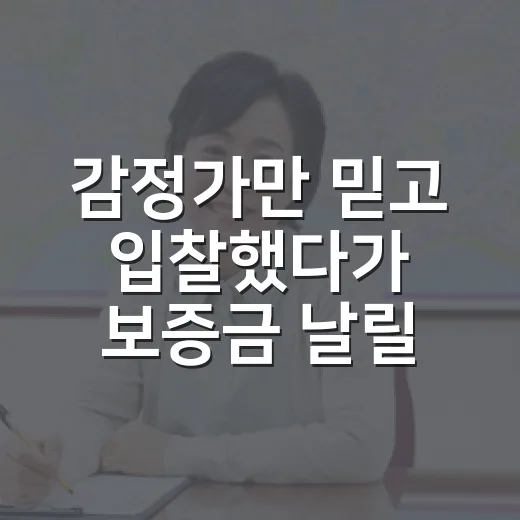 감정가만 믿고 입찰했다가 보증금 날릴 뻔한 날, 부동산감정평가의 진짜 얼굴 - 요약