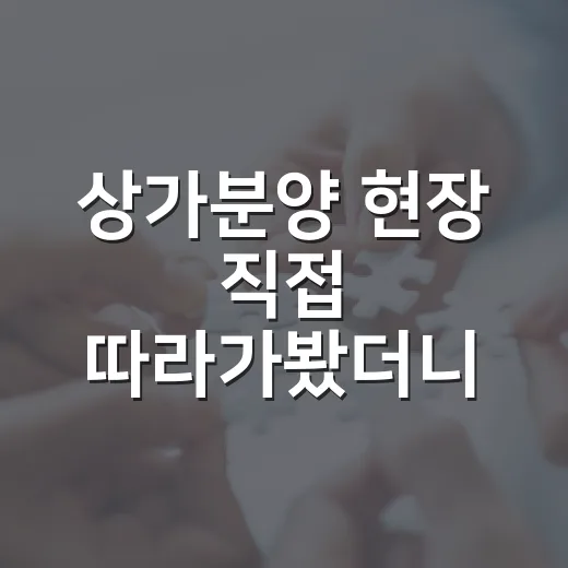 상가분양 현장 직접 따라가봤더니, 좋은 호실보다 먼저 보인 숫자들 - 요약
