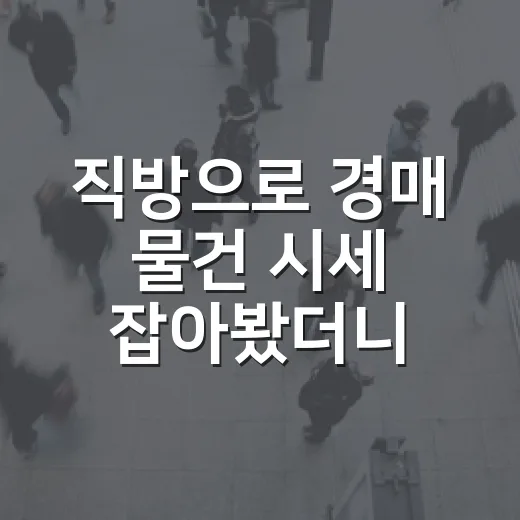 직방으로 경매 물건 시세 잡아봤더니 입찰가가 달라졌다 - 요약