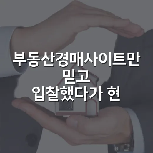 부동산경매사이트만 믿고 입찰했다가 현장에서 식은땀 난 이야기 - 요약